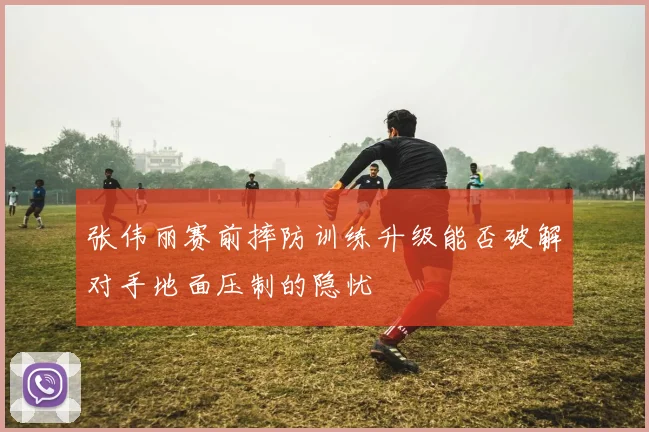 张伟丽赛前摔防训练升级能否破解对手地面压制的隐忧