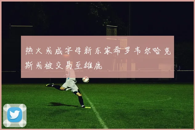 热火或成字母新东家希罗韦尔哈克斯或被交易至雄鹿