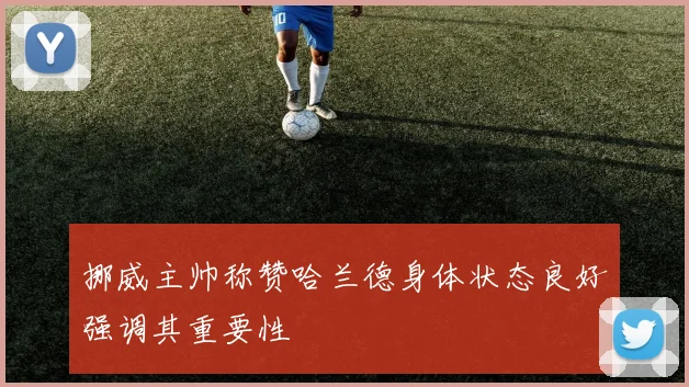 挪威主帅称赞哈兰德身体状态良好强调其重要性
